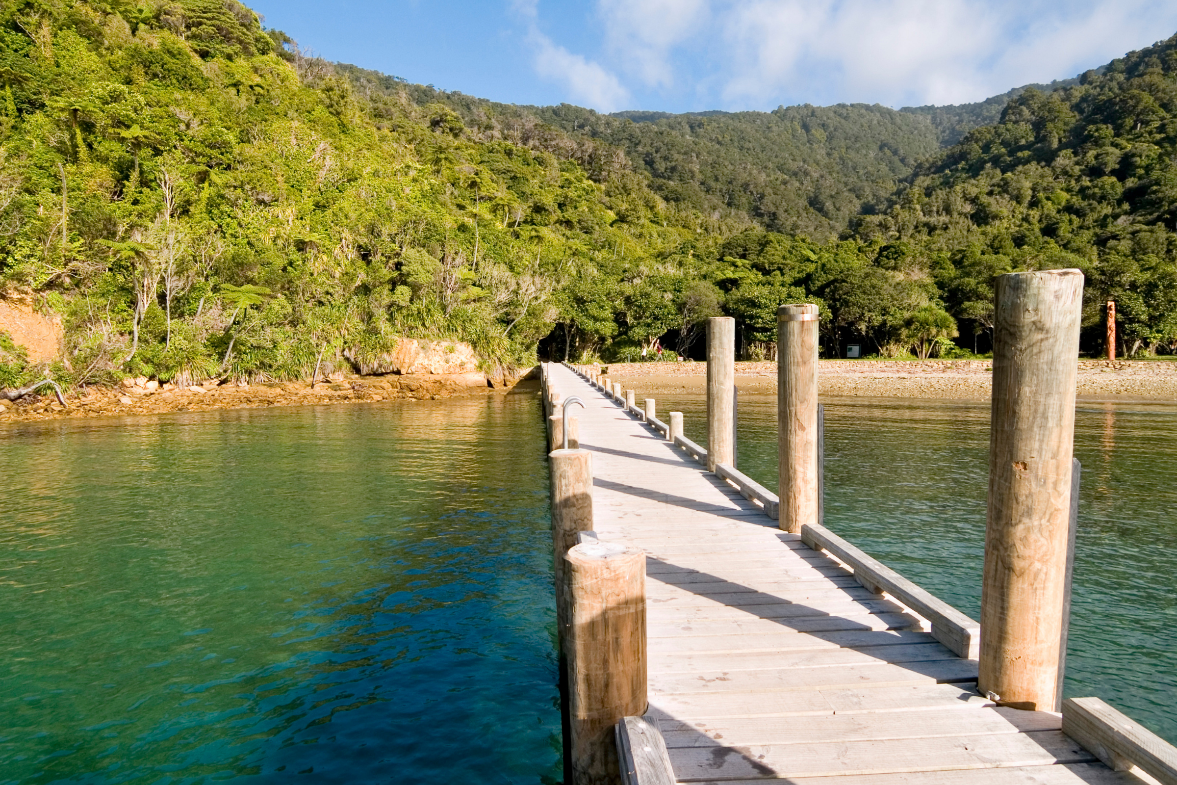 118 ship cove.webp